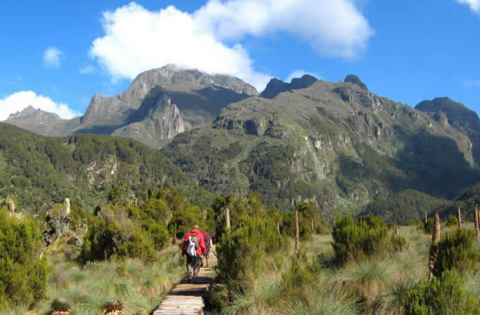 Rwenzori Mountain