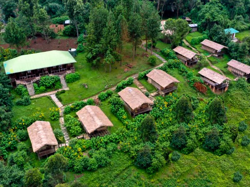 Ruhija Gorilla Mist Camp