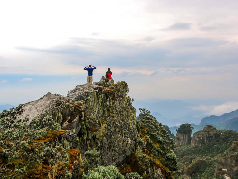 Rwenzori Mountains Trek